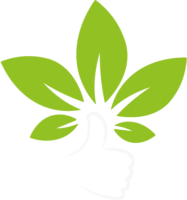 logo icon